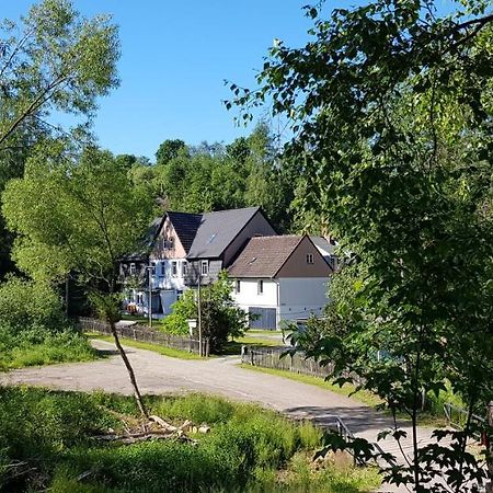 Naturferienhaus Luppbodemuhle Allrode Ngoại thất bức ảnh